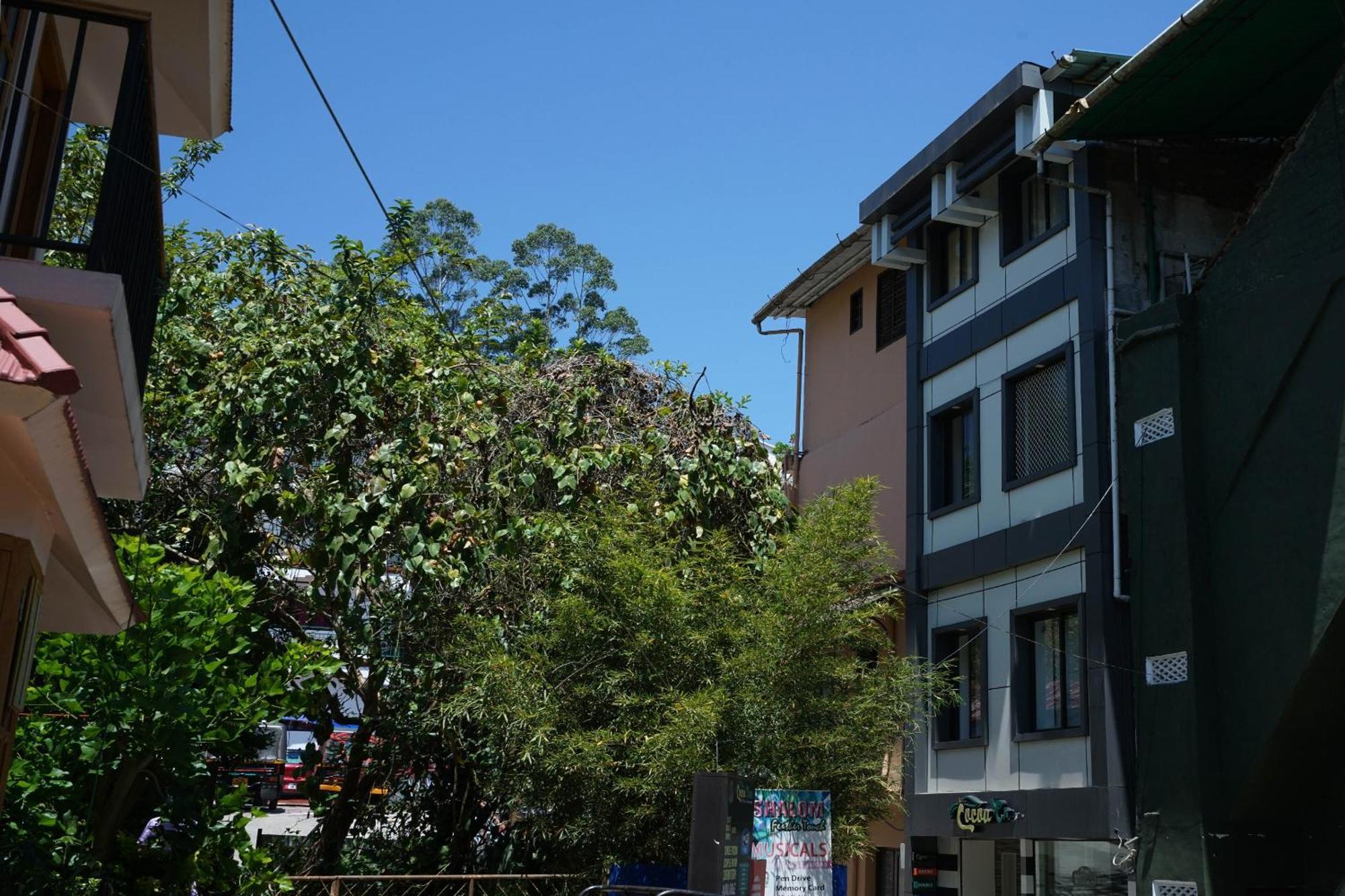 Oyo Hotel Cocoa Tree Munnar Eksteriør bilde